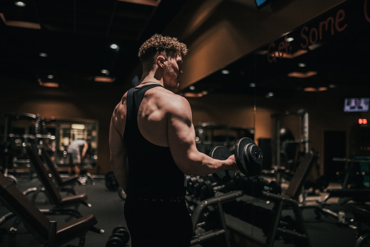 Protein synthesis and muscle building